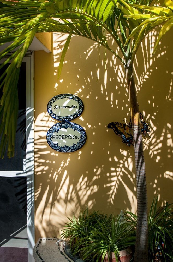 Abbey Del Sol Aparthotel Puerto Morelos Buitenkant foto